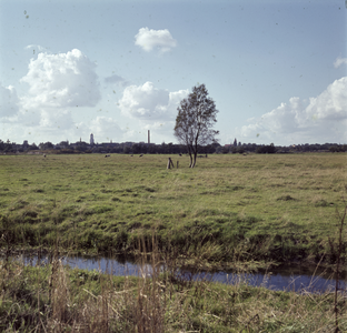 859623 Gezicht op de weilanden nabij de Ezelsdijk te Utrecht, vanuit het noorden.